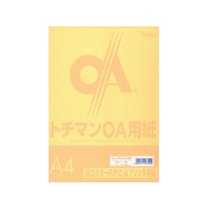 SAKAEテクニカルペーパー 厚口カラーPPC A4 スキン 100枚×5冊 FC88285-LPR-A4-SW-イメージ1