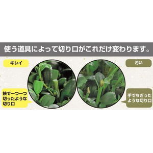 アルスコーポレーション 高枝電動バリカンショート チルト・チップレシーバー付 FCB471J-DKR-0330TC-BK-イメージ10