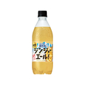 サントリー サントリー天然水 特製ジンジャーエール 500mL FCJ546U