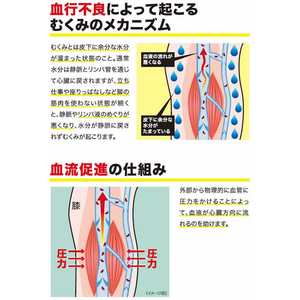 レキットベンキーザー・ジャパン おうちでメディキュット リンパケア ロング L F329359-228628-イメージ4