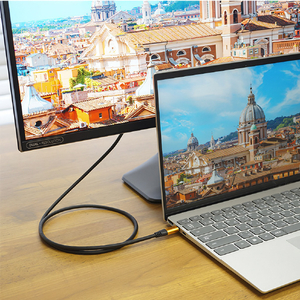 ホーリック USB Type-C→HDMI変換ケーブル(1．0m) UCHA10-058GB-イメージ8