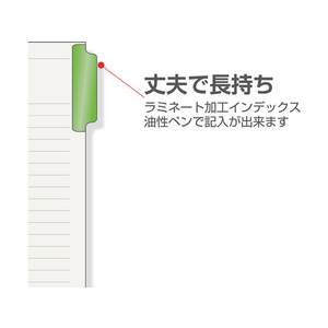 マルマン ラミネートタブインデックス B5 12色12山 26穴 F943409-LT5012-イメージ3