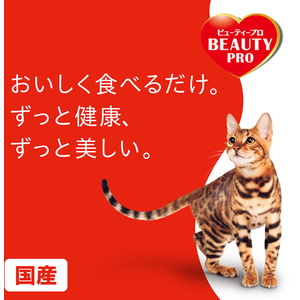 日本ペットフード ビューティープロ キャット Wケア 低脂肪高たんぱく 1.2kg FCJ040T-イメージ3