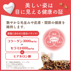 日本ペットフード ビューティープロ キャット Wケア 低脂肪高たんぱく 1.2kg FCJ040T-イメージ5