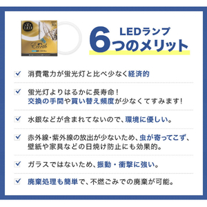 エコデバイス 30形 丸形蛍光管 昼光色 1本入り アースシリーズ ホワイト EFCL30LED-ES/28N-イメージ3