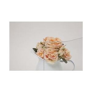 池永鉄工 レンジガード IR-800CL-イメージ2