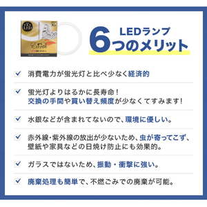 エコデバイス 30形 丸形蛍光管 電球色 1本入り アースシリーズ ホワイト EFCL30LED-ES/28W-イメージ3