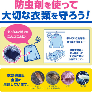白元アース かおりパラゾールノンカット袋入 700g FC642MS-イメージ6