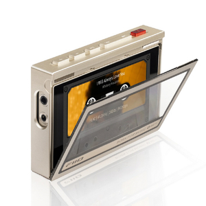 FIIO SK-M21C チタニウムゴールド FIO-SK-M21C-G-イメージ6