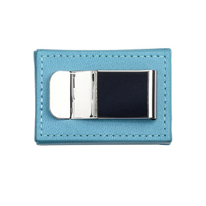 FIIO RETRO NANO専用ケース ブルー FIO-SK-SSRNANO-L-イメージ3
