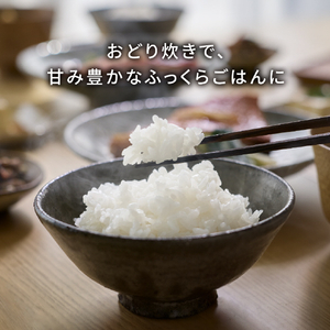 パナソニック 可変圧力IHジャー炊飯器 ブラック SR-N510E-K-イメージ11