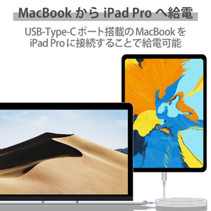 エレコム USB2．0ケーブル(C-C、USB PD対応、耐久仕様) 1．0m シルバー MPA-CCPS10PNSV-イメージ8