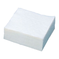 尚美堂 4ツ折ナフキン 25cm角 白 (1000P) 007300 FCL6338-021253002