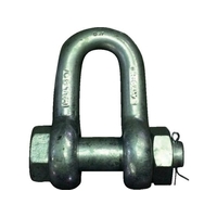 大洋製器工業 JISシャックル M級 ドブ SB-22 3.1534558826 FC801GV-8199953