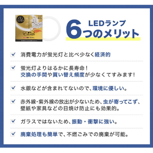 エコデバイス 40形 丸形蛍光管 電球色 1本入り アースシリーズ ホワイト EFCL40LED-ES/28W-イメージ3