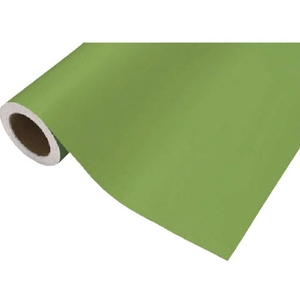 中川ケミカル カッティングシート 411イエローグリーン 450mm×12M FC807HX-8357408-イメージ1