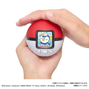 タカラトミー ポケットモンスター ポケモン も～っと!ポケなで モンスターボール ﾎﾟｹﾓﾝﾓ-ﾂﾄﾎﾟｹﾅﾃﾞﾓﾝｽﾀ-ﾎﾞ-ﾙ-イメージ11