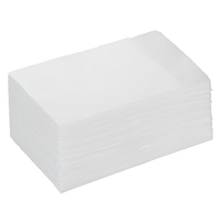 アートナップ 4つ折り紙ナプキン 2／3タイプ 150枚 F860662-FR-01