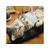 ドギーマン なで猫(にゃん)しゃもじ FC79468-イメージ7
