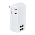 エルパ タップ USB2ポート AC2個口 UA-222L