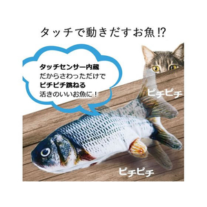 日翔 お魚ピチピチ サバ FCT0535-イメージ3