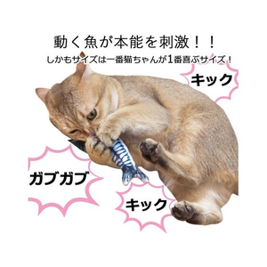 日翔 お魚ピチピチ サバ FCT0535-イメージ4