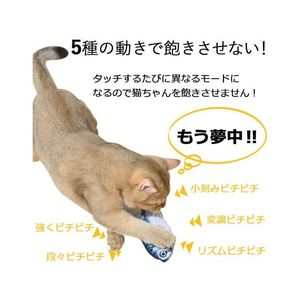 日翔 お魚ピチピチ サバ FCT0535-イメージ5