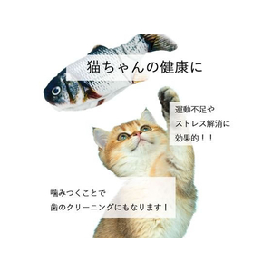日翔 お魚ピチピチ サバ FCT0535-イメージ7