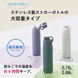 タイガー 真空断熱ボトル(0.75L) フォグブルー MTS-W075AF-イメージ2