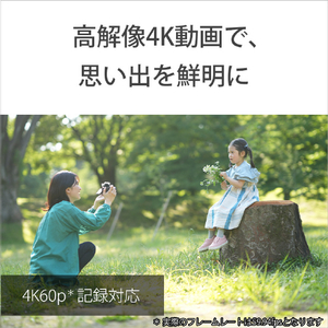 SONY デジタル一眼カメラ・ボディ α VLOGCAM ZV-E10 II ブラック ZV-E10M2 B-イメージ14