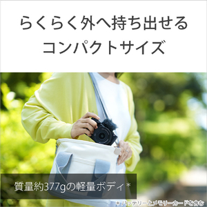SONY デジタル一眼カメラ・ボディ α VLOGCAM ZV-E10 II ブラック ZV-E10M2 B-イメージ18