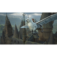 【新品】Switch2　ホグワーツ・レガシー Amazon.co.jp: ホグワーツ・レガシー -Switch2 【Amazon.co.jp