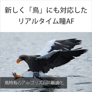 SONY デジタル一眼カメラ・ボディ α1 ブラック ILCE1-イメージ9