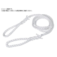 トラスコ中山 TRUSCO/PPロープスリング 24mmX2m PP-2420 FCA636Z-2580342