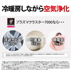 シャープ 「工事代金別」 8畳向け 冷暖房エアコン プラズマクラスターエアコン DGシリーズ AY-T25DGS-イメージ5