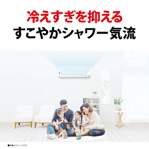 シャープ 「工事代金別」 8畳向け 冷暖房エアコン プラズマクラスターエアコン DGシリーズ AY-T25DGS-イメージ6