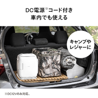 ツインバード HR-EB06W 2電源式コンパクト電子保冷保温ボックス