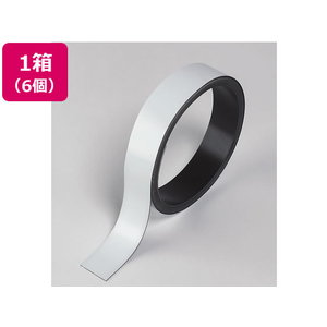マグエックス マグネットラベル L ロールタイプ 幅27mm 5m 6個 F374396-MNAME-L-5M-イメージ1
