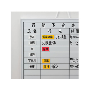 マグエックス マグネットラベル L ロールタイプ 幅27mm 5m 6個 F374396-MNAME-L-5M-イメージ5