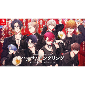 エディア ハンサムロンダリング -the mystic lover-【Switch】 HACPBRK3A