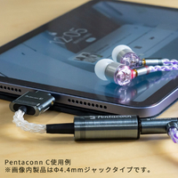 pentaconn 変換ケーブル 日本ディックス MMCX to PENTACONN EAR 変換ケーブル – e☆イヤホン