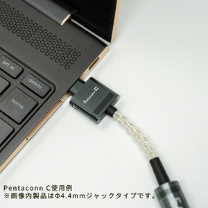 日本ディックス Pentaconn C 【USB Type C ⇔ 3．5mmジャック 変換ケーブル】 Pentaconnシリーズ NEH1-21-002-イメージ2