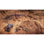 PLAION Expeditions A MudRunner Game【Switch】 HACPBD3VA-イメージ6