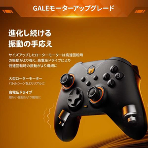 BIGBIGWON 任天堂Switch & Windows10/11&iOS、Android対応 無線/有線ゲームコントローラー ブラック GALEHALLCOMBOBLACK-イメージ7
