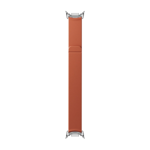 Fitbit Google Fitbit Edge マグネット バンド Lサイズ Mahogany GA12433-WW-イメージ1