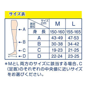 Ｓｃｈｏｌｌｓ Ｗｅｌｌｎｅｓｓ Ｃｏｍｐａｎｙ 寝ながらメディキュット ロング L F329374-281613-イメージ5