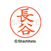 シヤチハタ ネームペン用ネーム シルバー 既製 長谷 FC47402-X-GPS-1631
