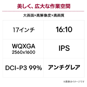 LGエレクトロニクス 17型液晶ディスプレイ LG gram +view 17MT70-イメージ3