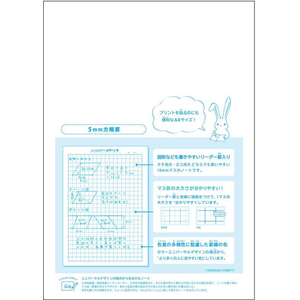 キョクトウ カレッジみんなの学習 A4 5mm方眼R 24枚 FC678TG-LPUA5-イメージ2