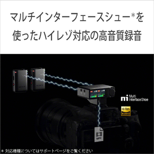 SONY ワイヤレスマイクロホン ECM-W5-イメージ4